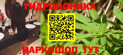 прущие крисы Ярославль