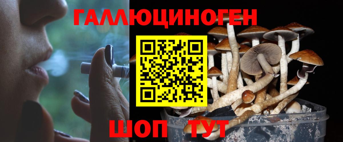 Псилоцибиновые грибы GOLDEN TEACHER  Вход с VPN  Павловский Посад 